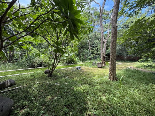 place photo 49