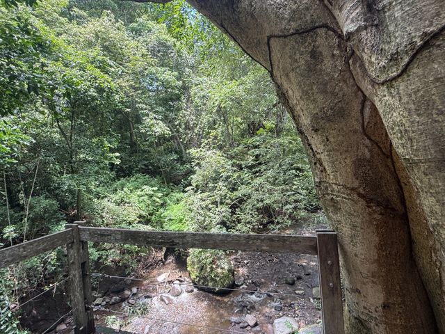 place photo 56