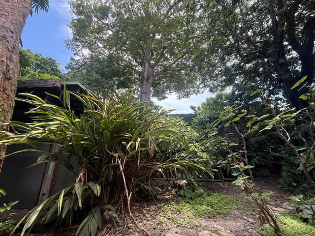 place photo 57
