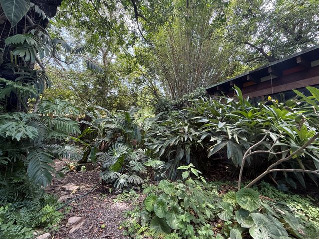 place photo 58