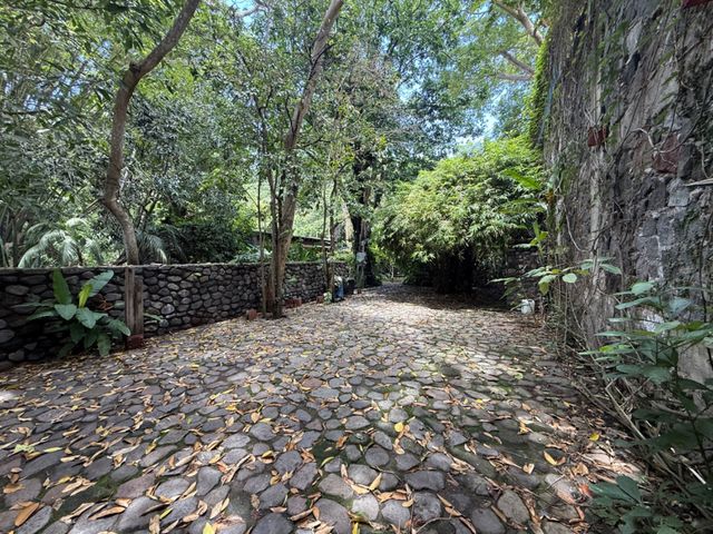place photo 59