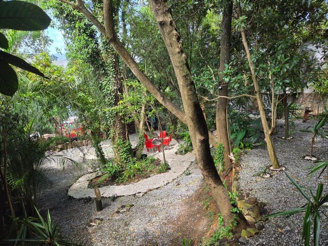 place photo 47