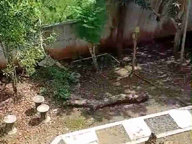 place photo 9