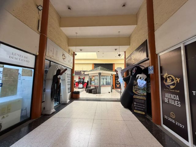 place photo 13