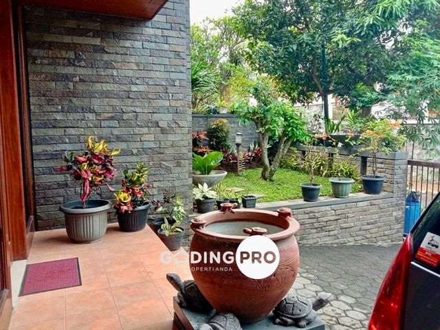 place photo 17
