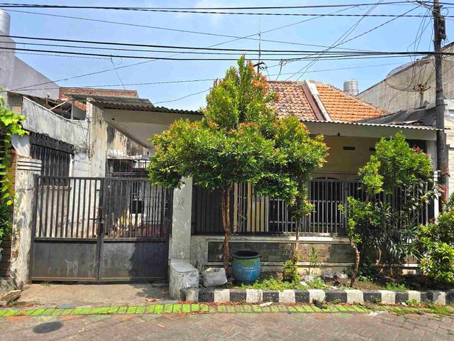 TER MURAH RUMAH HITUNG TANAH DEKAT RAYA IKAN DORANG PERAK BARAT SURABAYA