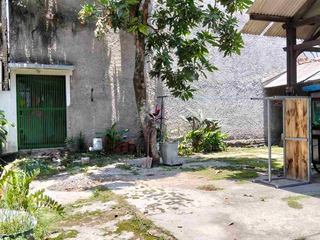 place photo 7