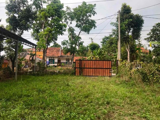 place photo 4