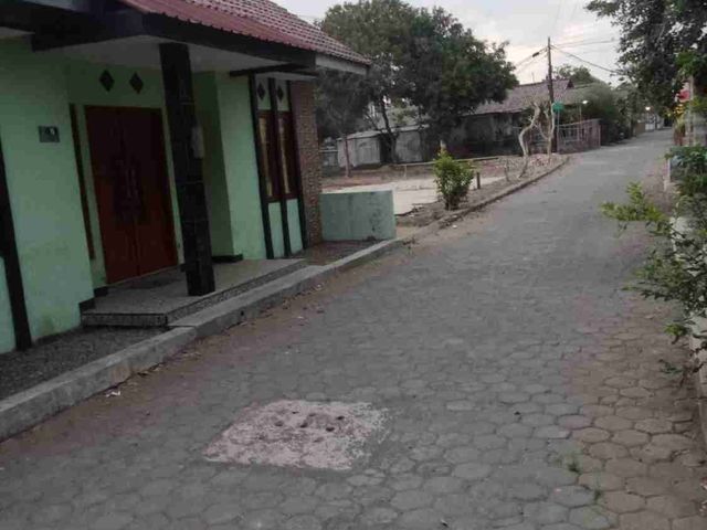 place photo 4