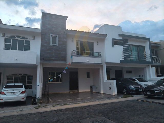 place photo 36