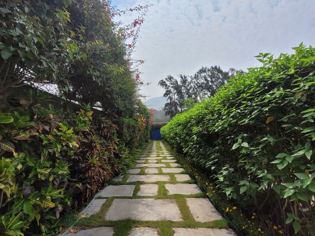 place photo 71