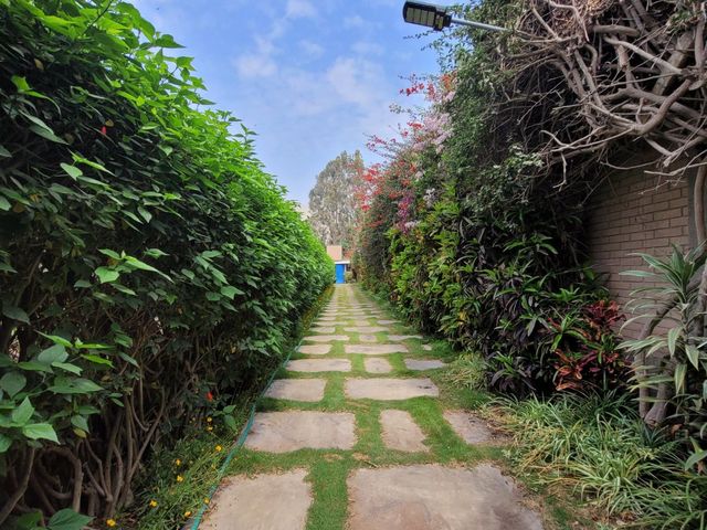 place photo 75