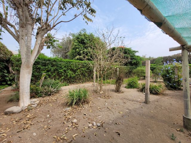 place photo 81