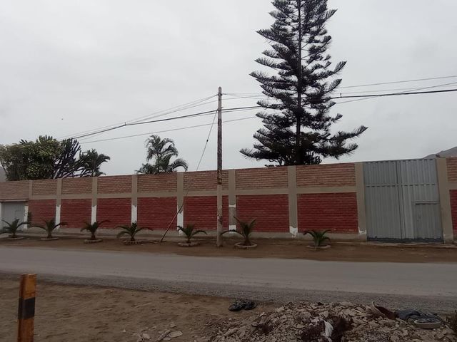 place photo 23