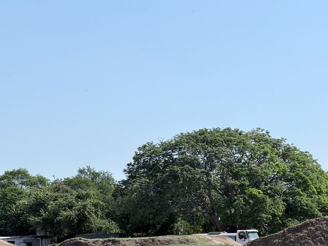 place photo 39