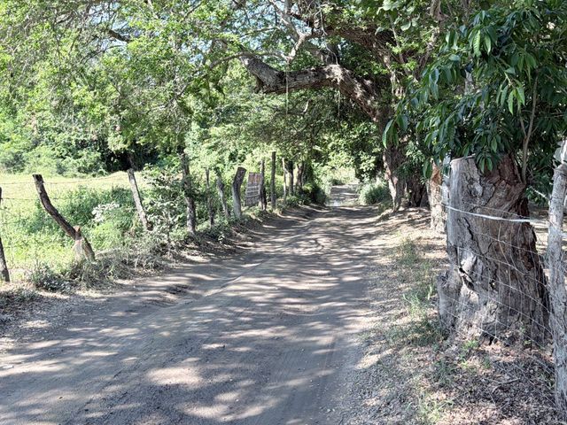 place photo 46