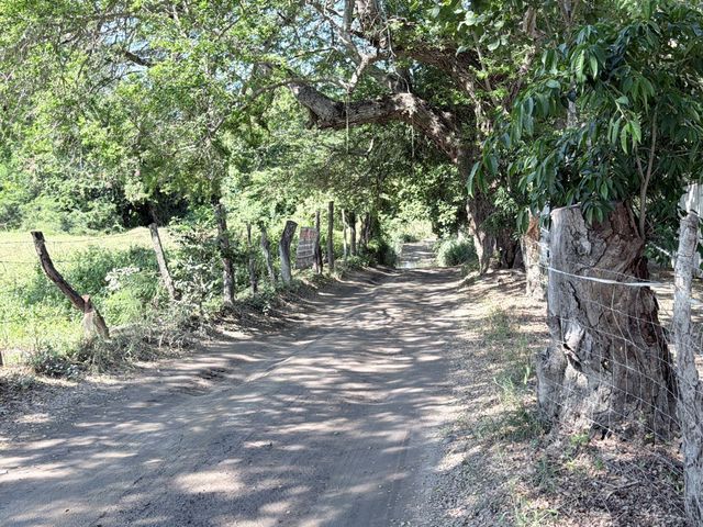 place photo 47