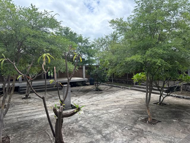 place photo 43