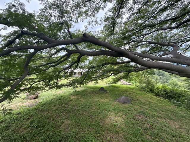 place photo 51