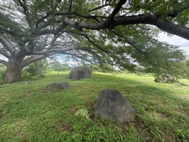place photo 48