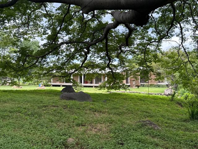 place photo 49