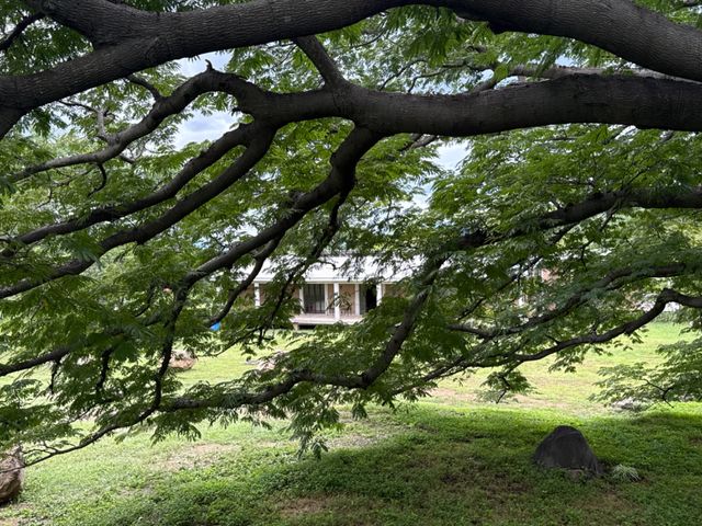 place photo 52