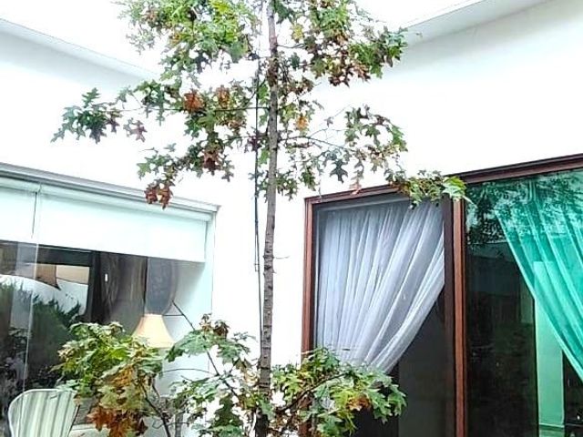 place photo 37