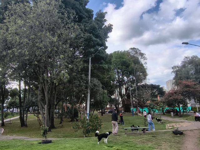 place photo 24