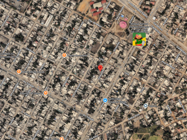 place photo 9