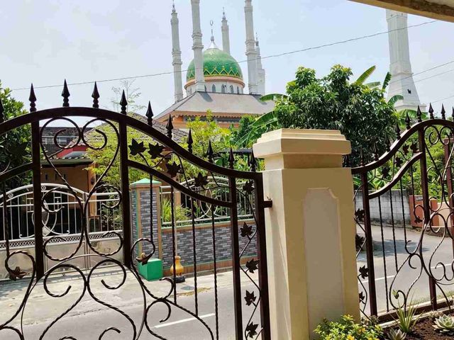 place photo 9