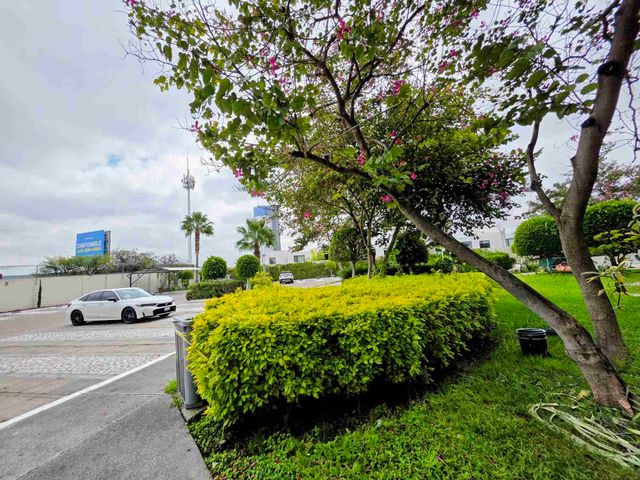 place photo 43