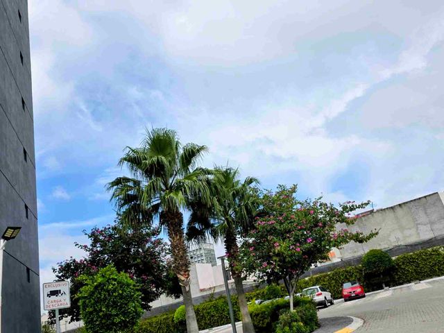 place photo 45