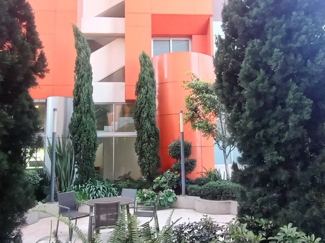 place photo 35