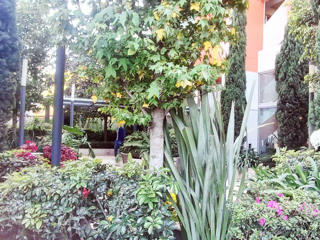 place photo 39