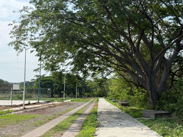 place photo 10