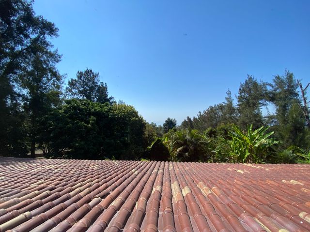 place photo 50