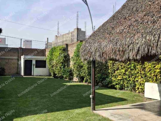 place photo 37