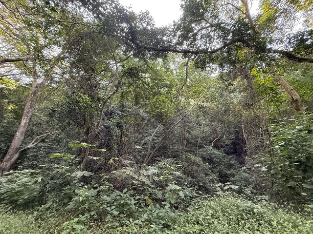 place photo 32