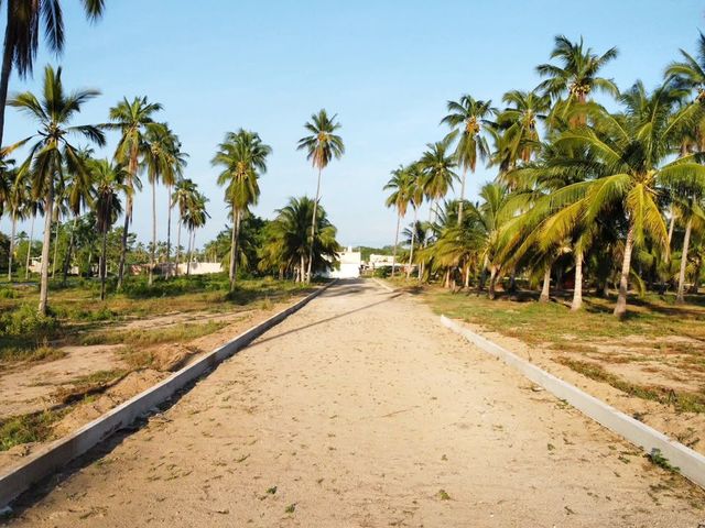 place photo 11
