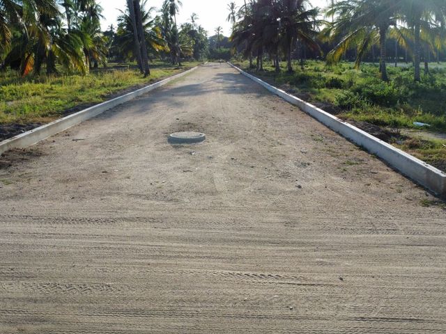 place photo 17