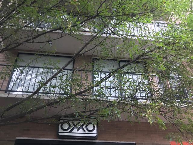 ¡Departamento Excelente y Moderno en La Candelaria, Coyoacán!