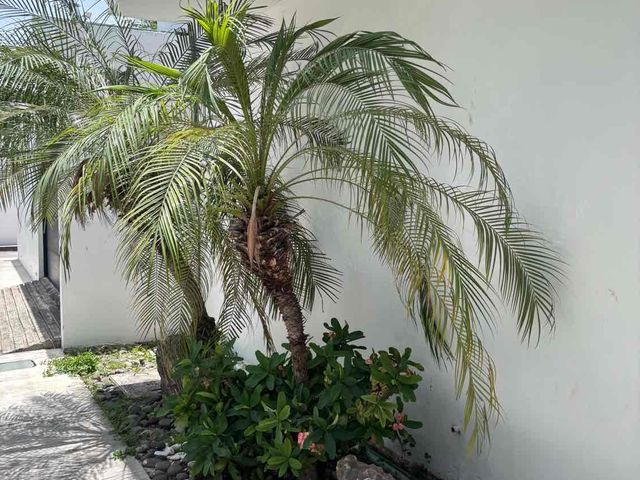 place photo 48