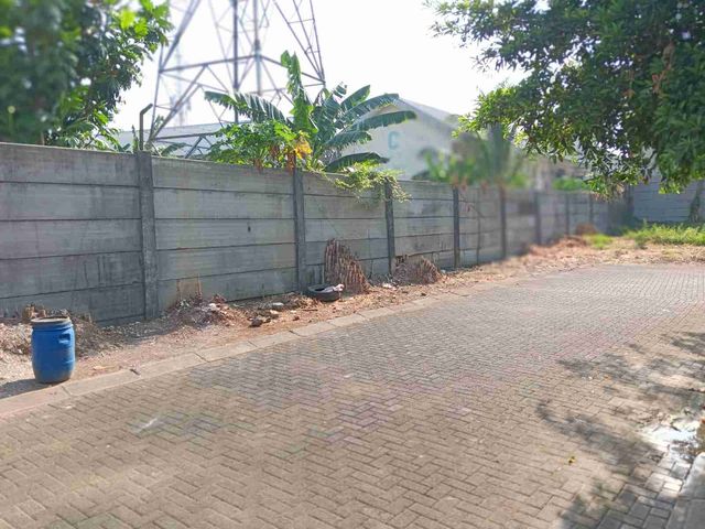 place photo 5