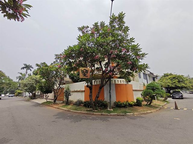 place photo 20