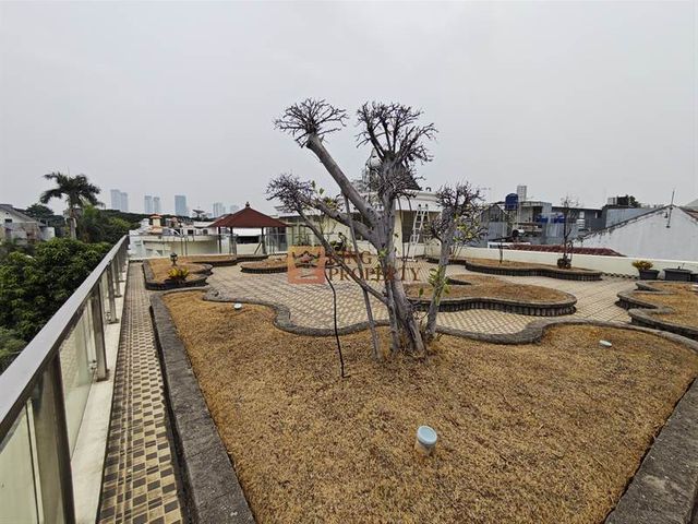 place photo 44