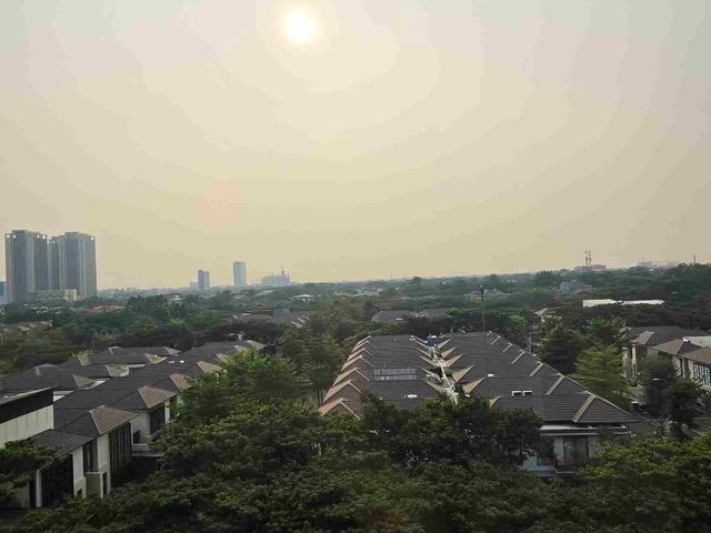 place photo 19