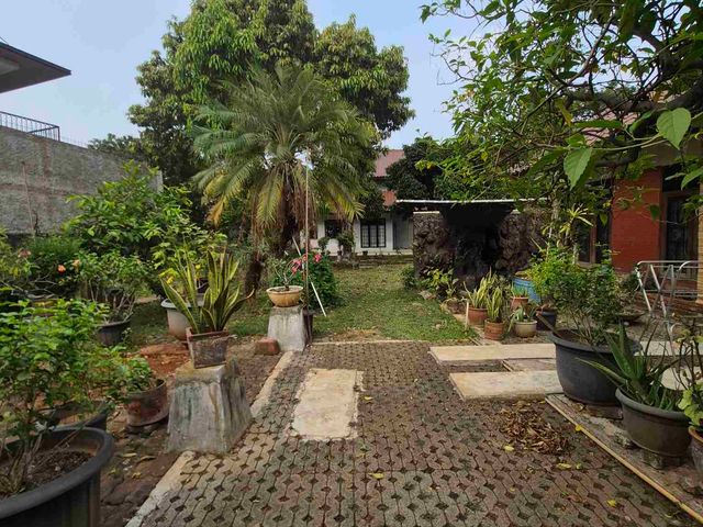 place photo 10