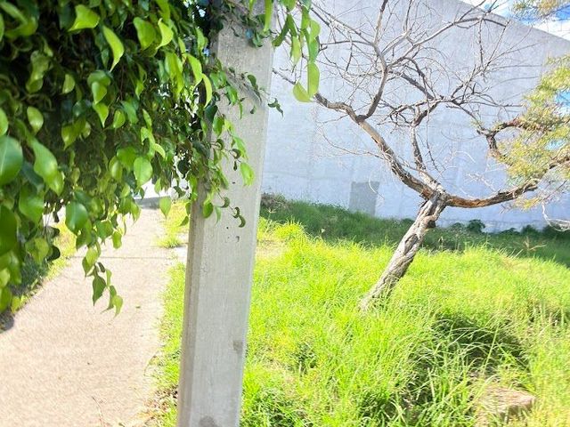 place photo 14