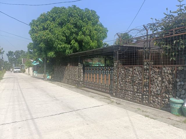 place photo 19