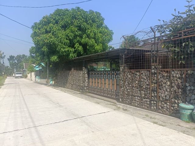 place photo 20